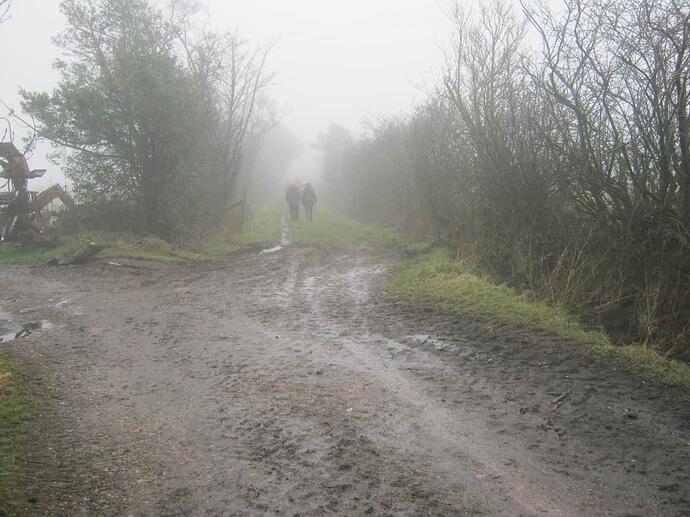 15a Track Between Fields-Muddy