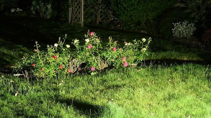 P1007120