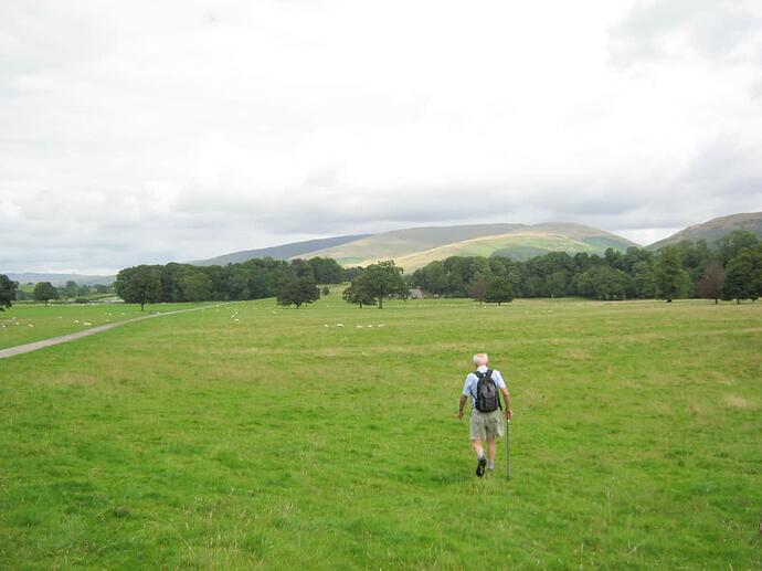 X1 Path Across Field-Grassy