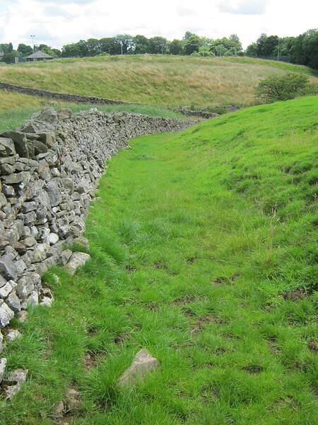 zf2 Path Alongside Field-Grassy-Rough