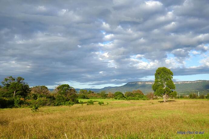 260407 005 Morning Walk