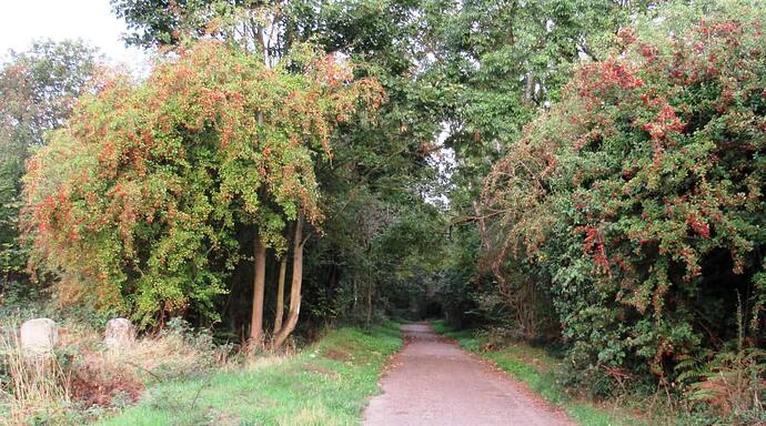 Moor Lane 190925