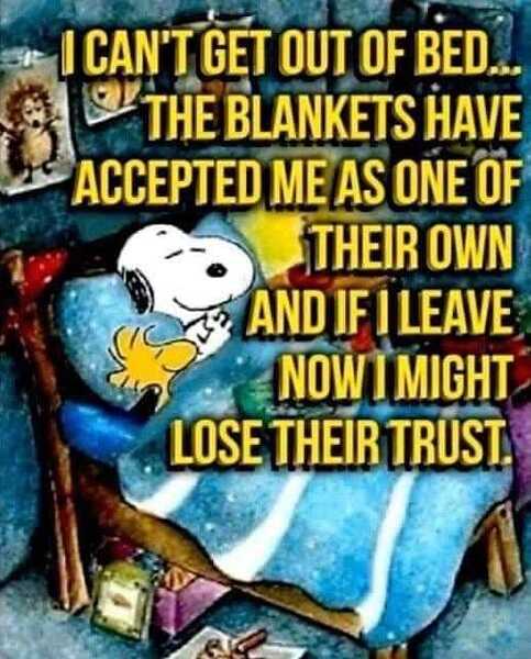 blankets trust me