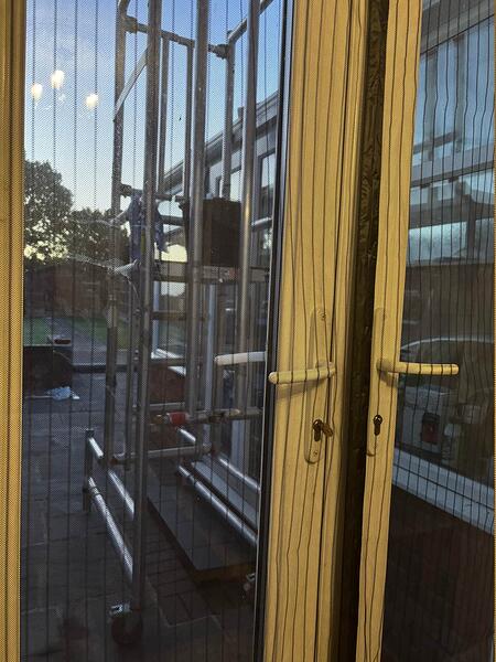 scaffold