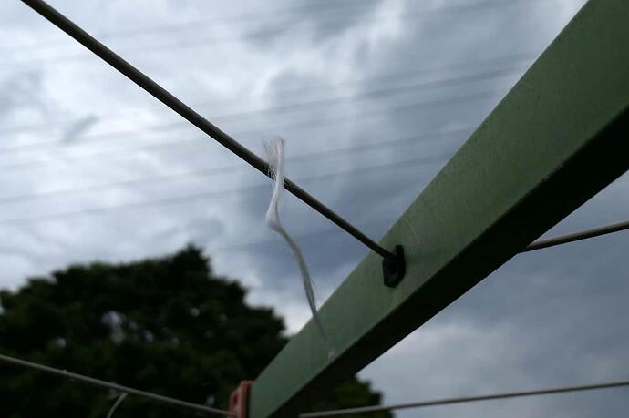 251108 012 Hills Hoist Line