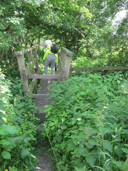 S1 Timber Footbridge With Rail Stile Onto Path