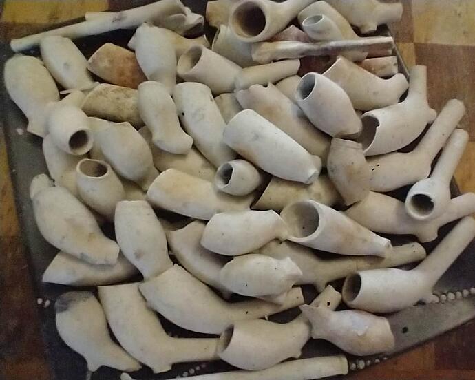 IMG_20260115_112000408~2