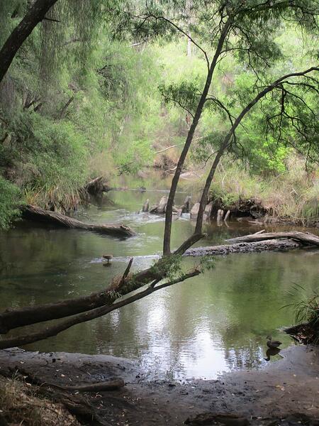 Collie River