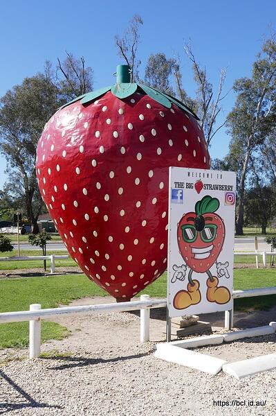 260917 003 The Big Strawberry