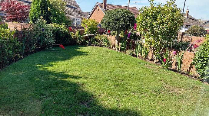 Lawn
