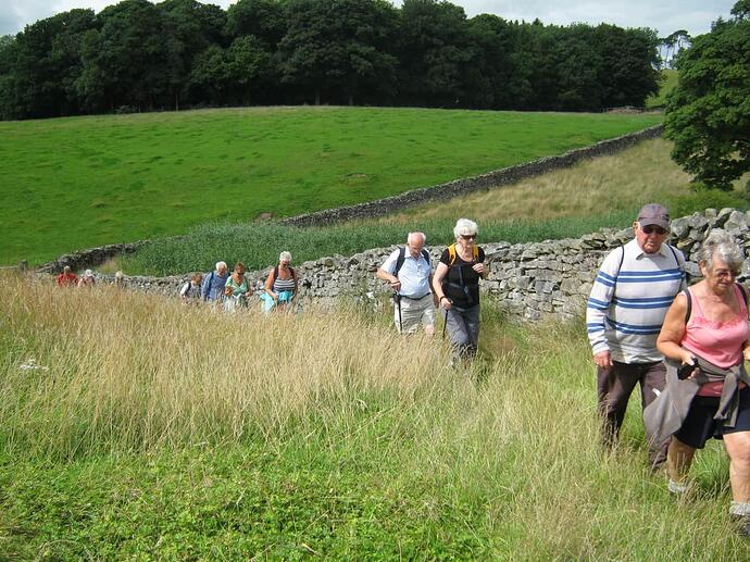 zg2 Path Alongside Field-Grassy-Rough-Incline(u)