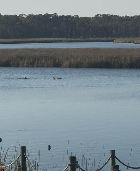 Screenshot 2025-12-13 at 9.12.22 AM