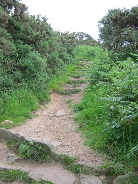 2b Path-Grassy-Stoney-Steep Incline(u)