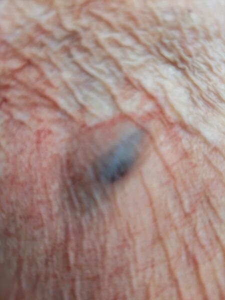 548305786_10238352339442697_7256525347776526082_n