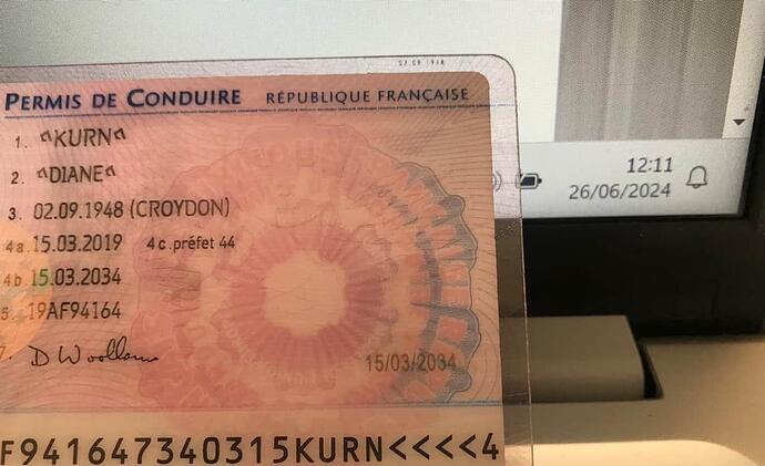 di's french driving licence