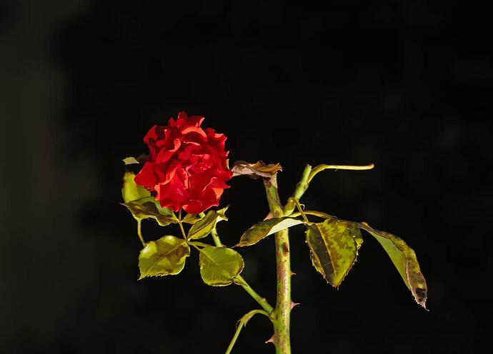 P1007924