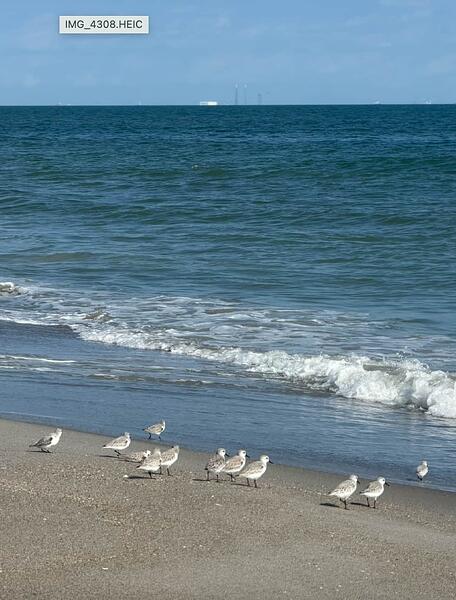 Screenshot 2025-11-26 at 7.16.39 AM