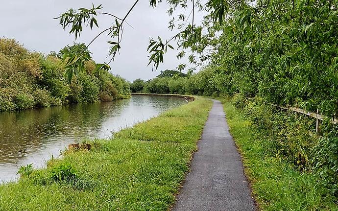 Herons Fishing 050625