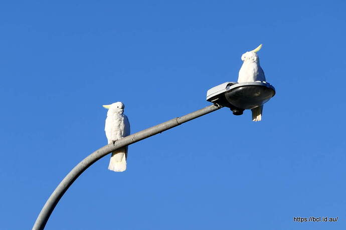P1050068