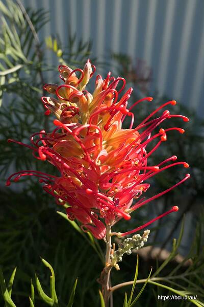 P1080566