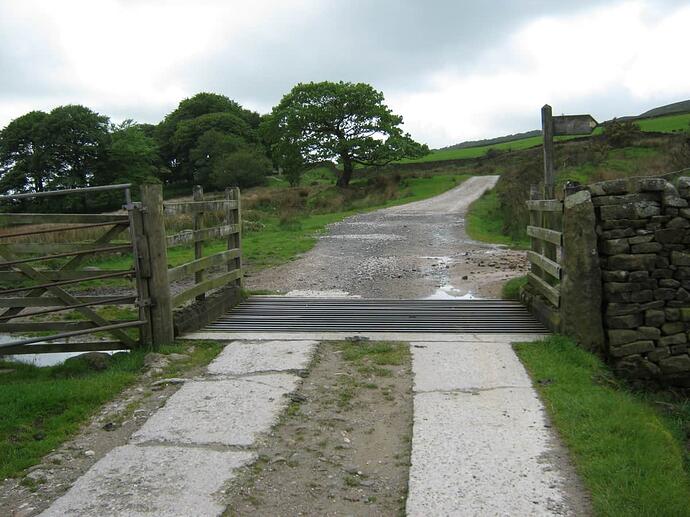 15b Cattle Grid Onto Track