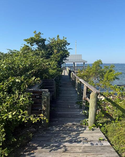 Screenshot 2025-11-24 at 7.35.45 AM