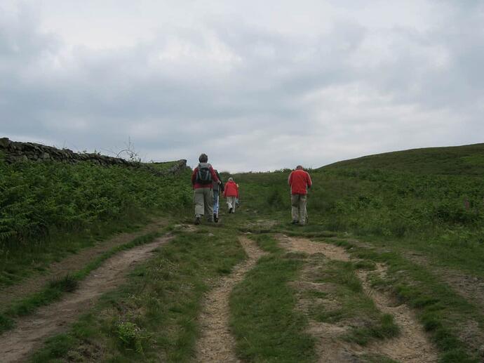 5a Path-Grassy-Stoney-Steep Incline(u)