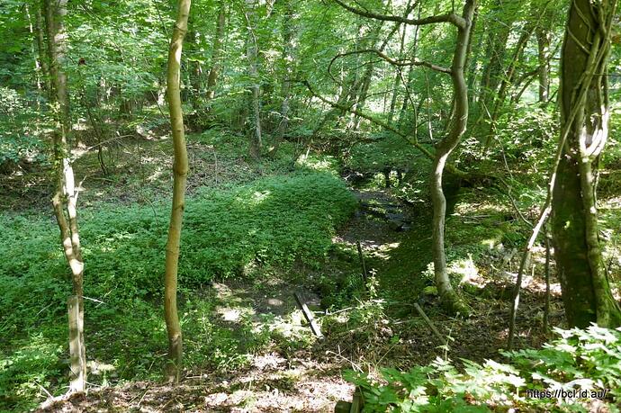 260710 023 Ancrum Walk