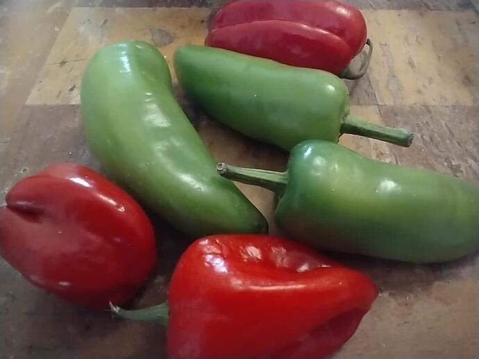 IMG_20260111_130718056