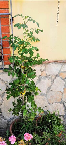 IMG_20260712_082355