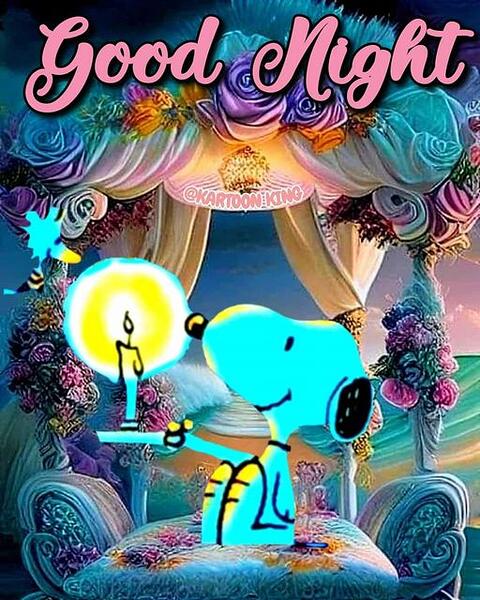 good night Snoopy