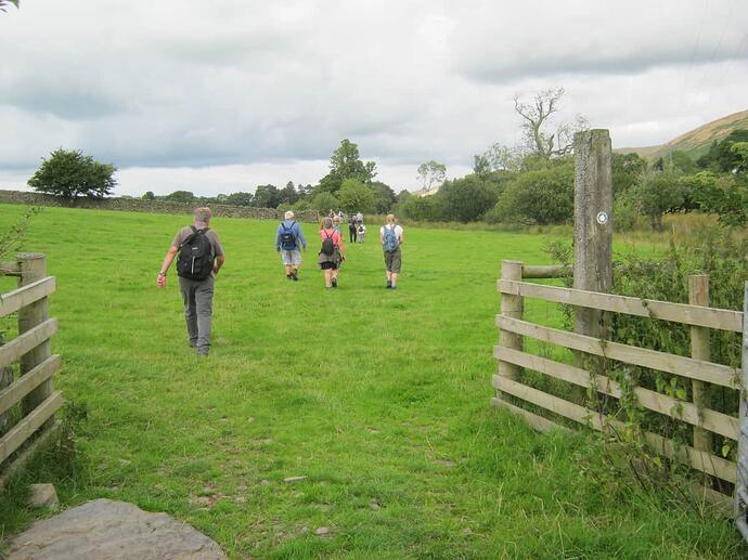 zr2 Path Across Field-Grassy