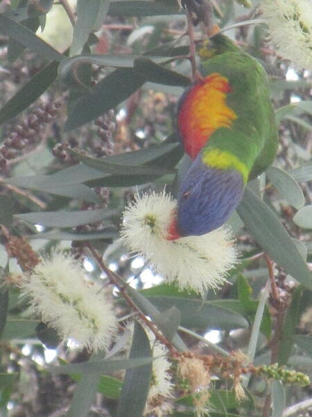 Gusman-4V0t8AXwlTPDF1M