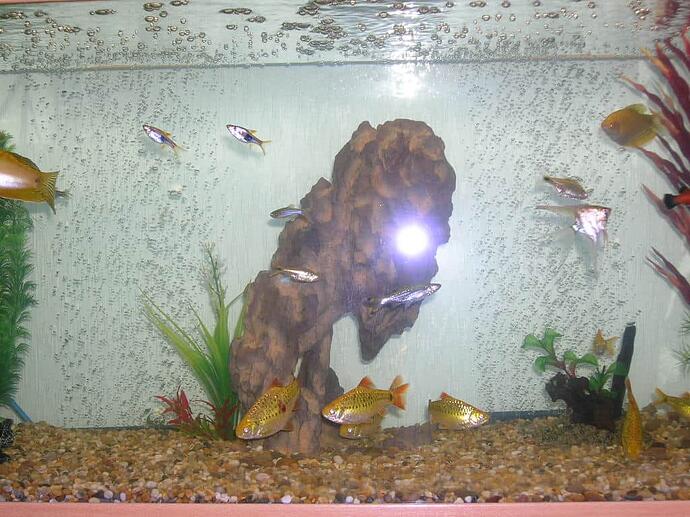 Full Tank