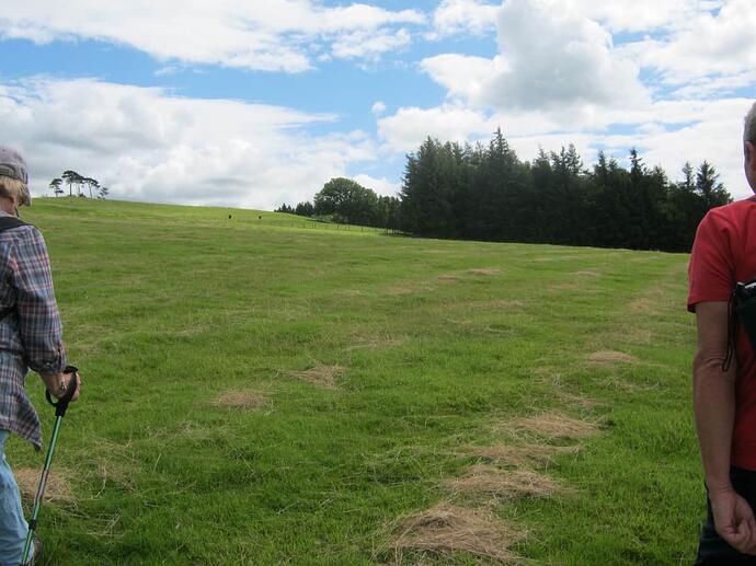 zc3 Path Across Field-Grassy-Slight Incline(u)