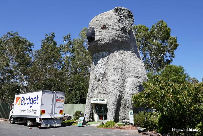 190302 064 Giant Koala Dadswells Bridge