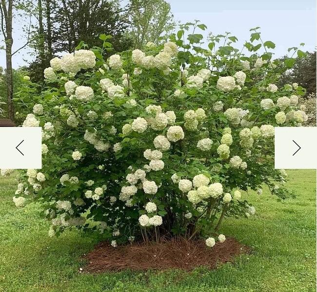 Screenshot_20251215_221027_edit_111093520748190