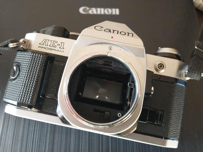 IMG_20260326_071932549