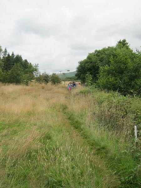 M4 Path Through Field-Grassy