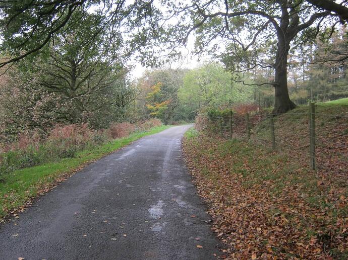 22a Higher Lane-Tarmac-Level