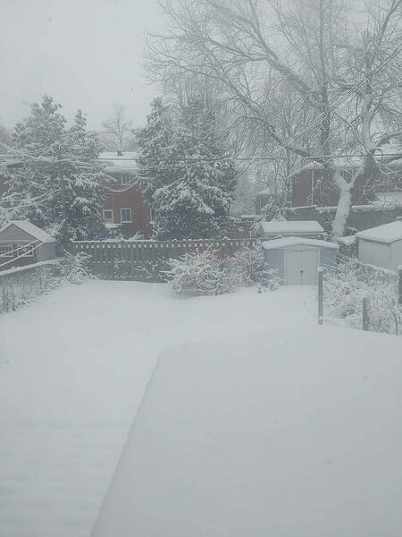 Snow_Backyard_Picture_From_My_Bedroom_Window_March-2026