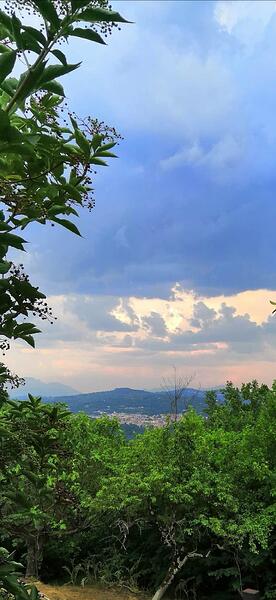 IMG_20260629_180420
