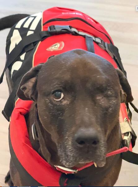 Screenshot 2025-11-28 at 8.32.10 AM