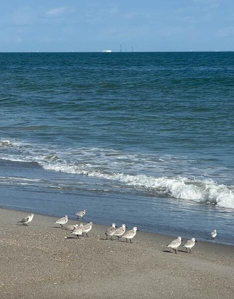 Screenshot 2025-11-26 at 7.06.18 AM