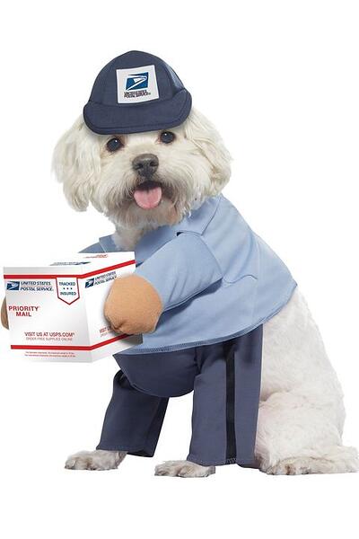 1626221150-dog-halloween-costumes-usps-delivery-driver-1626221128