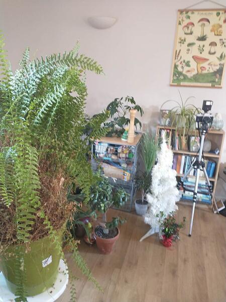 IMG_20251203_111452731