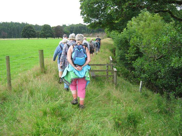 T1 Timber Single-Step Rail Stile On Path Alongside River Lune-Grassy-Rough