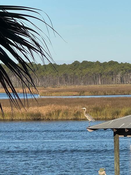 Screenshot 2025-11-16 at 7.53.31 AM