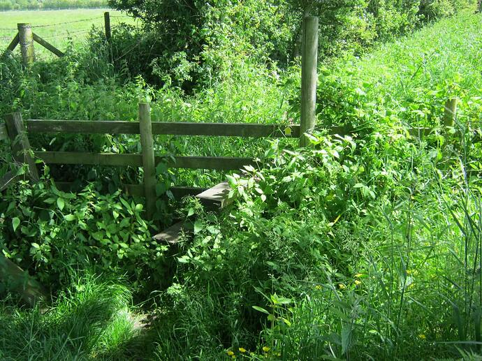 T1 Timber Double-Step Post & Rail Stile Onto Path