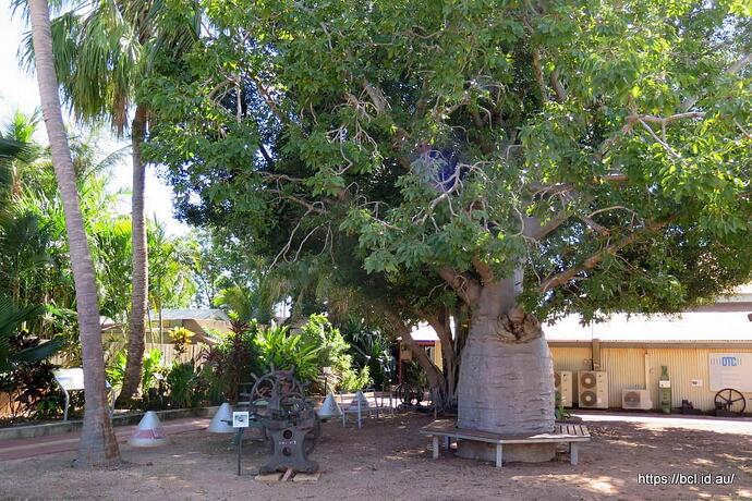 170524 012 Broome Museum